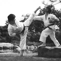 Nagai Shihan mit seiner Lieblingstechnik, yoko geri keage