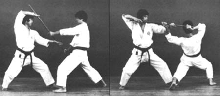 Ausschnitt aus dem Bunkai der Bassai-Sho: morote koku uke - suihei bo dori